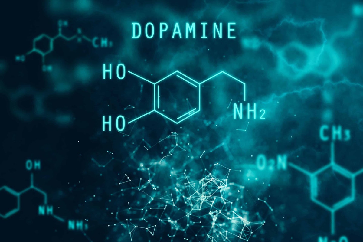 featured image - Bombas de dopamina: hábitos de neurohacking