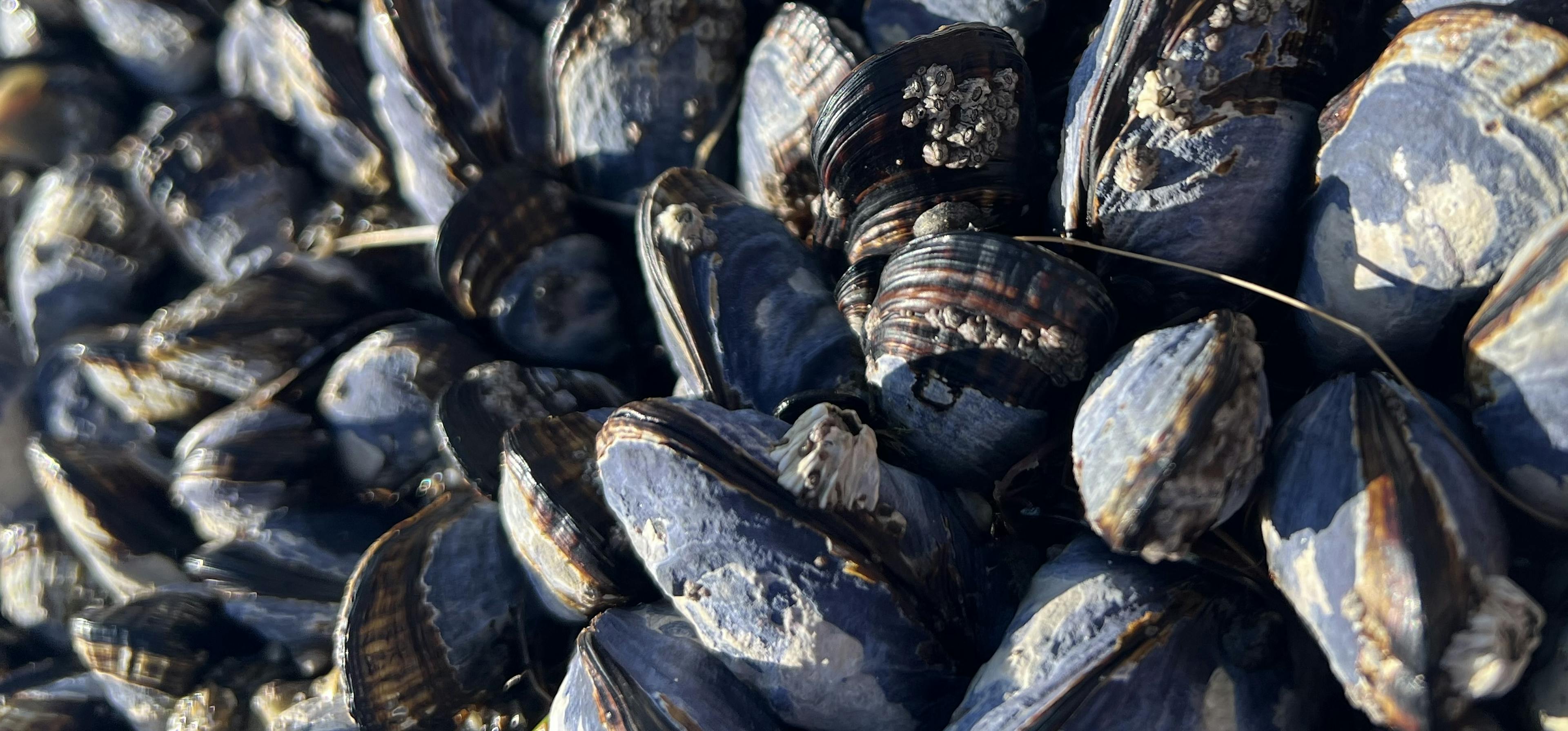 featured image - CrowdStrike Can Manipulate Your Clock, And Other Ways Cybersecurity Vendors Ignore Least Privilege