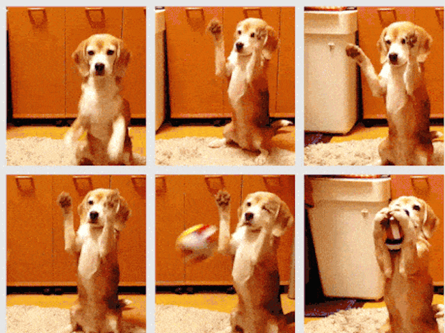 /practicing-coding-as-a-performance-c0ca0ec7261c feature image