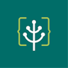 Green Software Foundation (GSF)