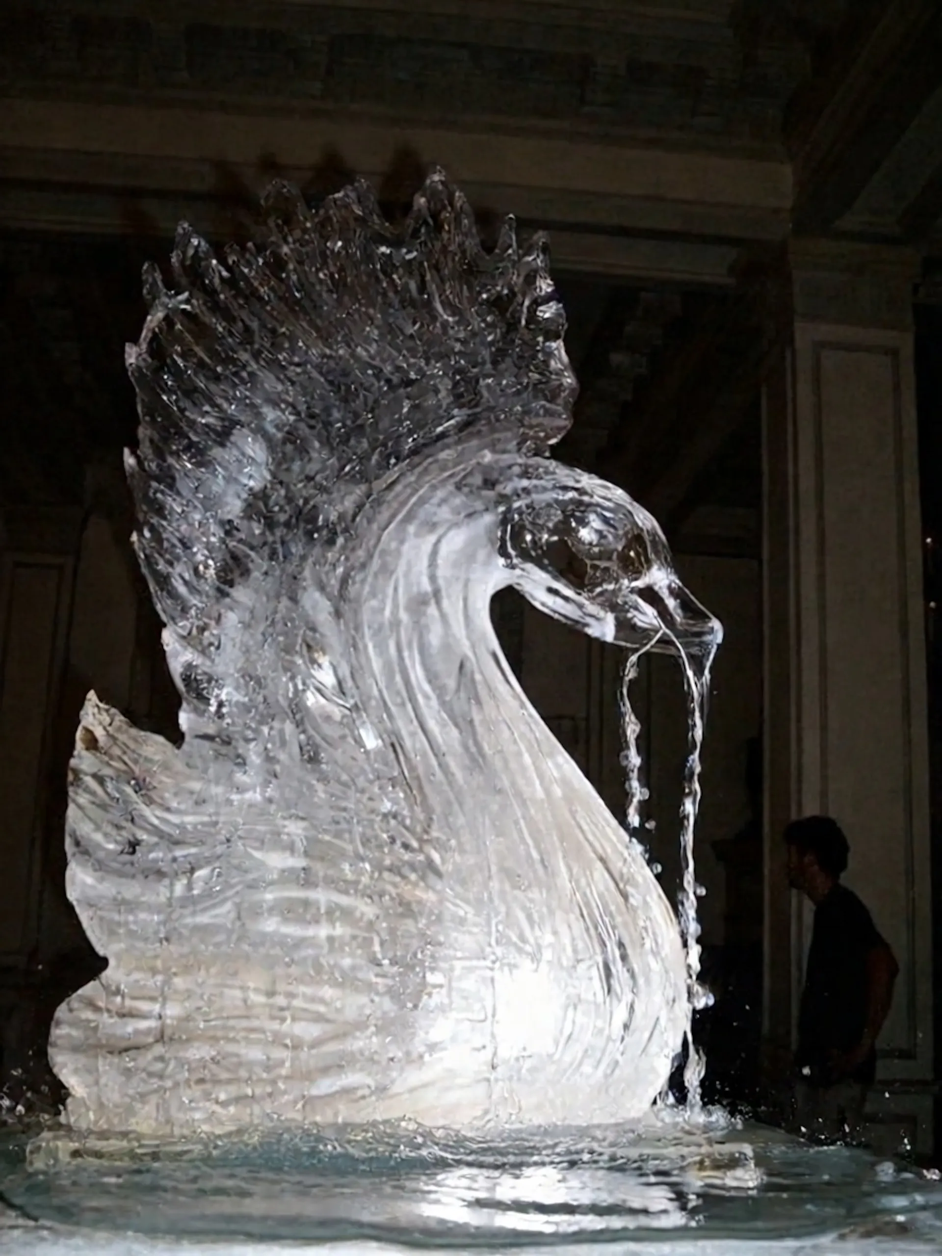 featured image - This Image Editing Model Actually Understands Physics