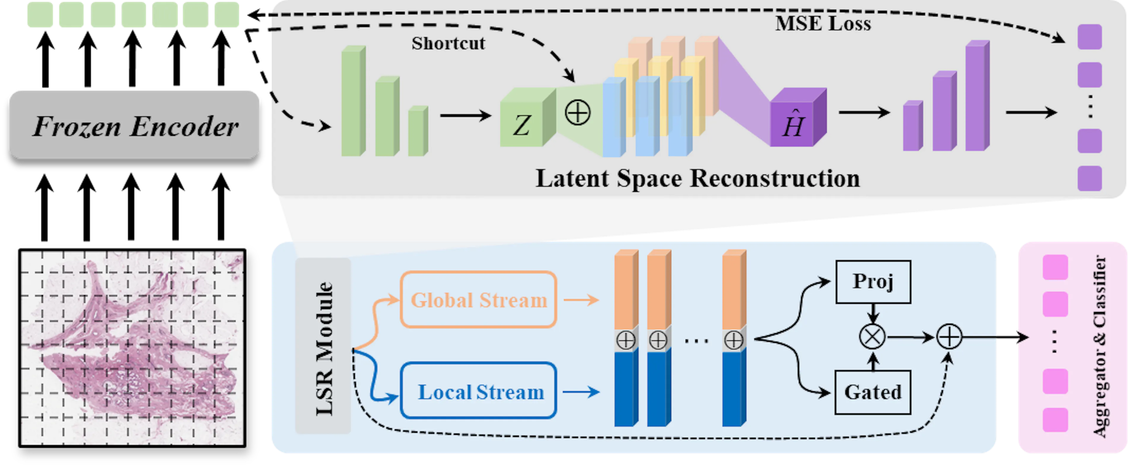 featured image - ReconMIL Finds the Tiny Cancer Signals AI Keeps Missing