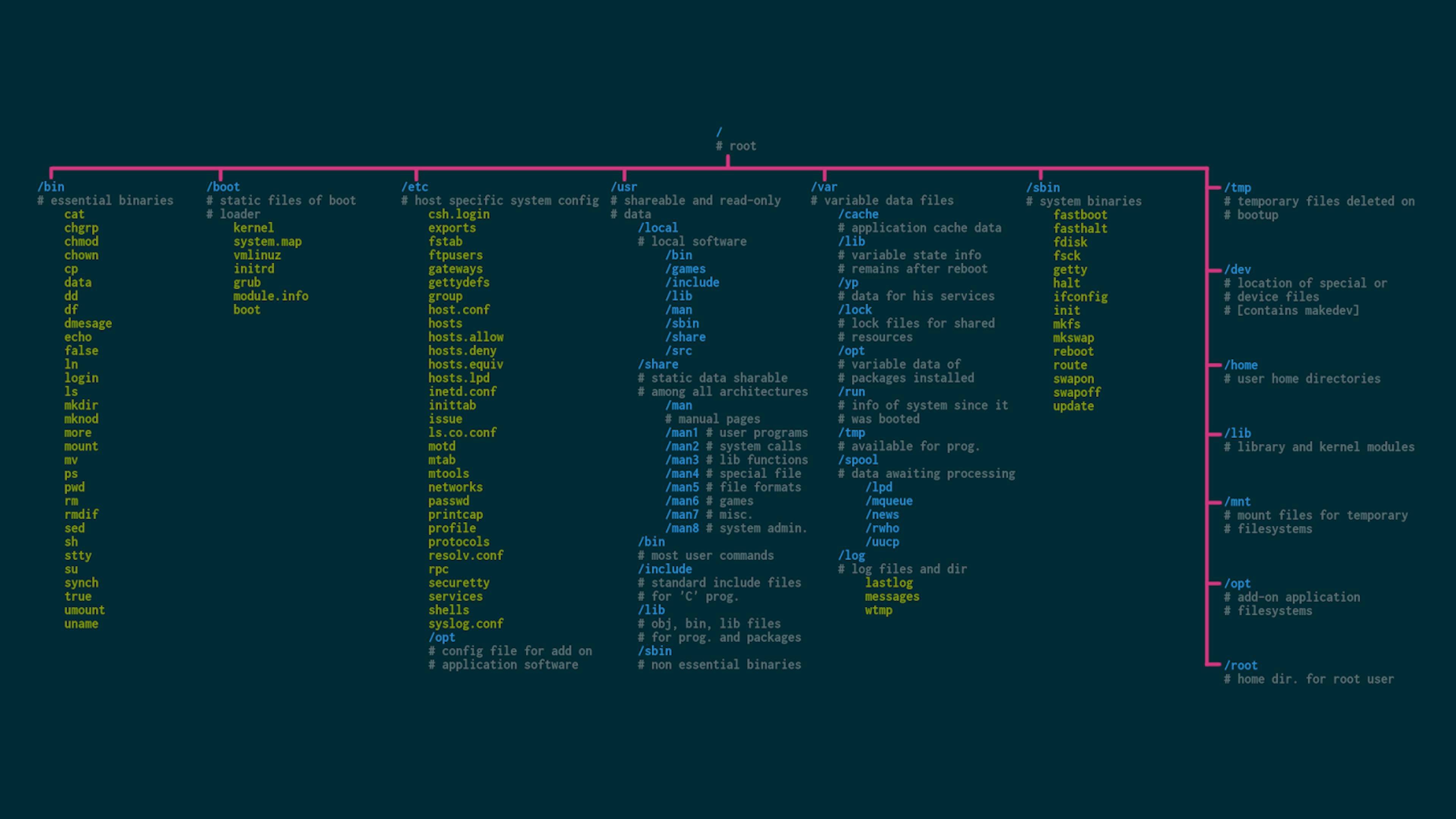 Linux File System