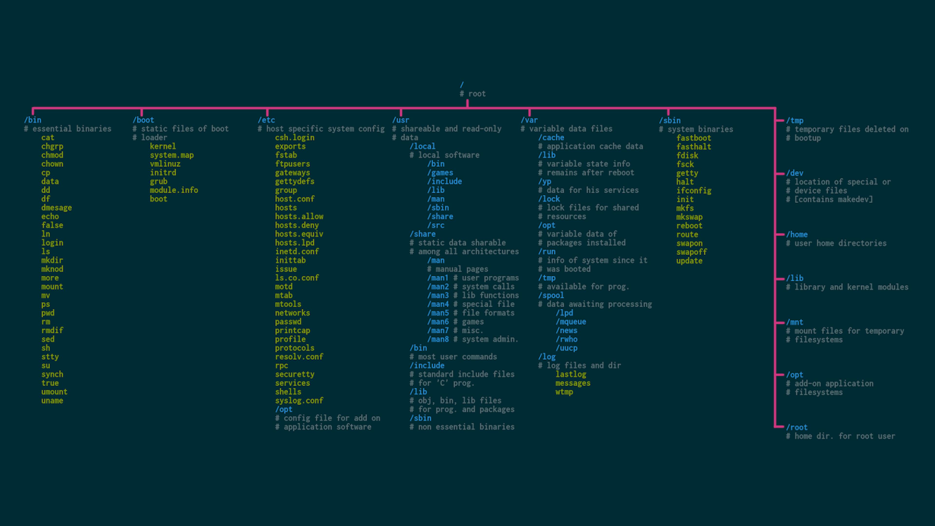 Linux File System