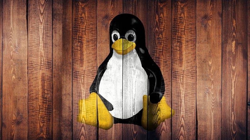 /an-introduction-to-linux-and-terminal-basics feature image