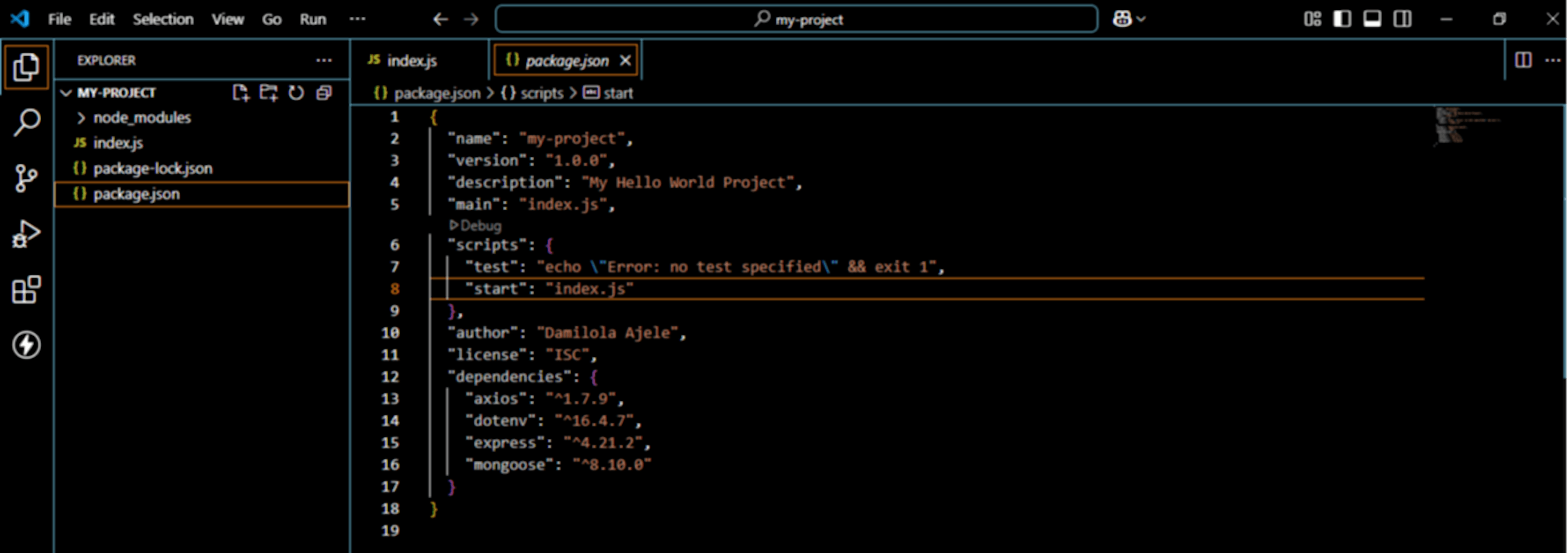 An image showing the package.json file on the code editor