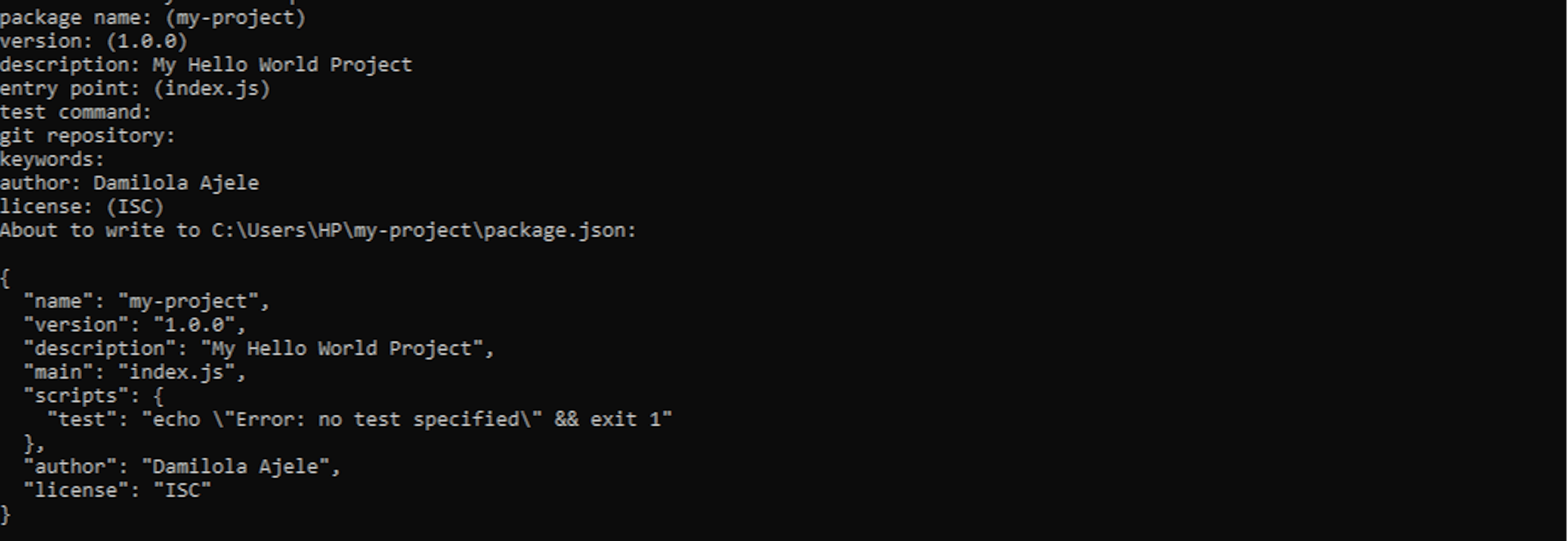 An Image of the command line terminal showing the npm setup