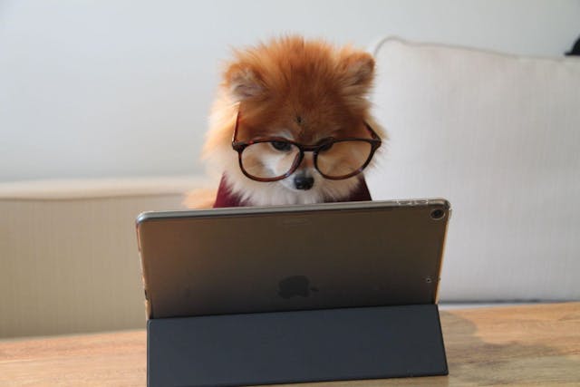 /testing-website-localization-and-why-its-important feature image
