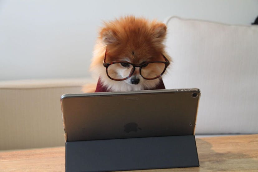 /testing-website-localization-and-why-its-important feature image