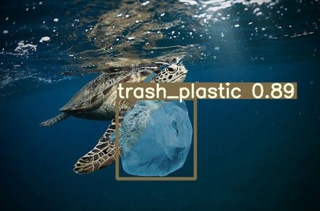 /how-deep-learning-can-help-quantify-monitor-and-remove-marine-plastic-the-deepplastic-way feature image
