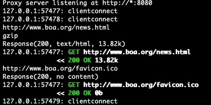 /follow-these-steps-to-replay-browsers-network-offline-situation-b51134ep feature image