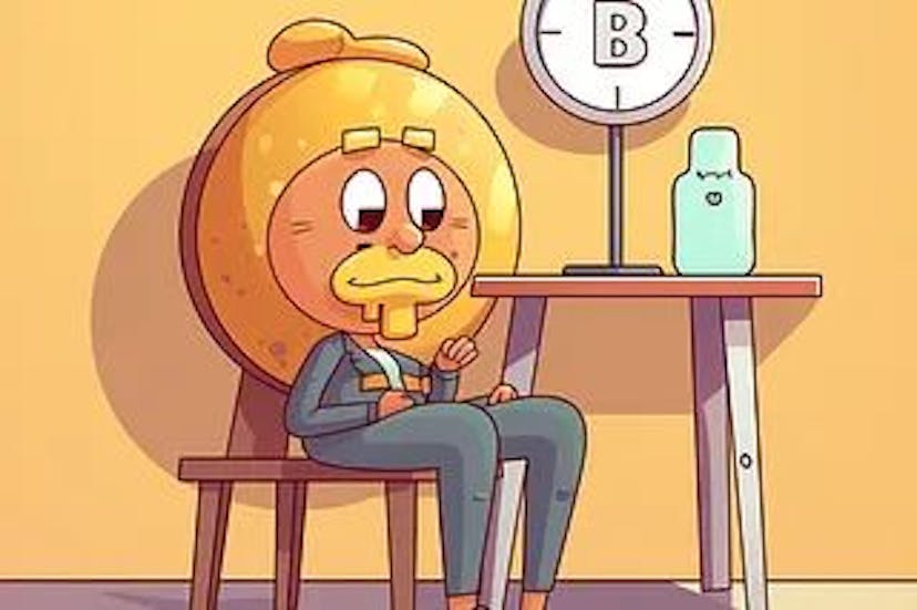 /hodling-strong-bitcoin-holders-in-for-the-long-game feature image