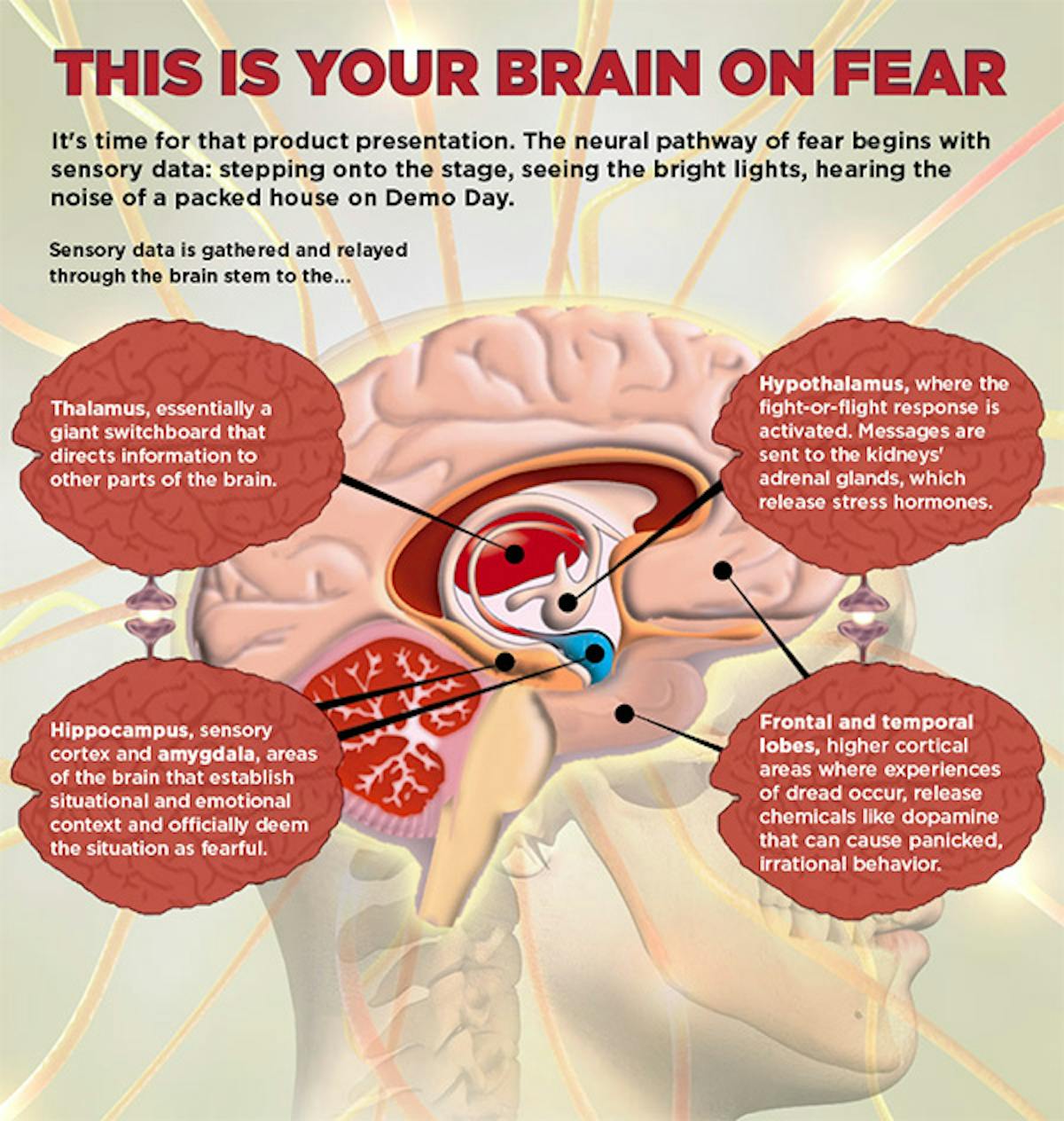 Your Brain On Fear