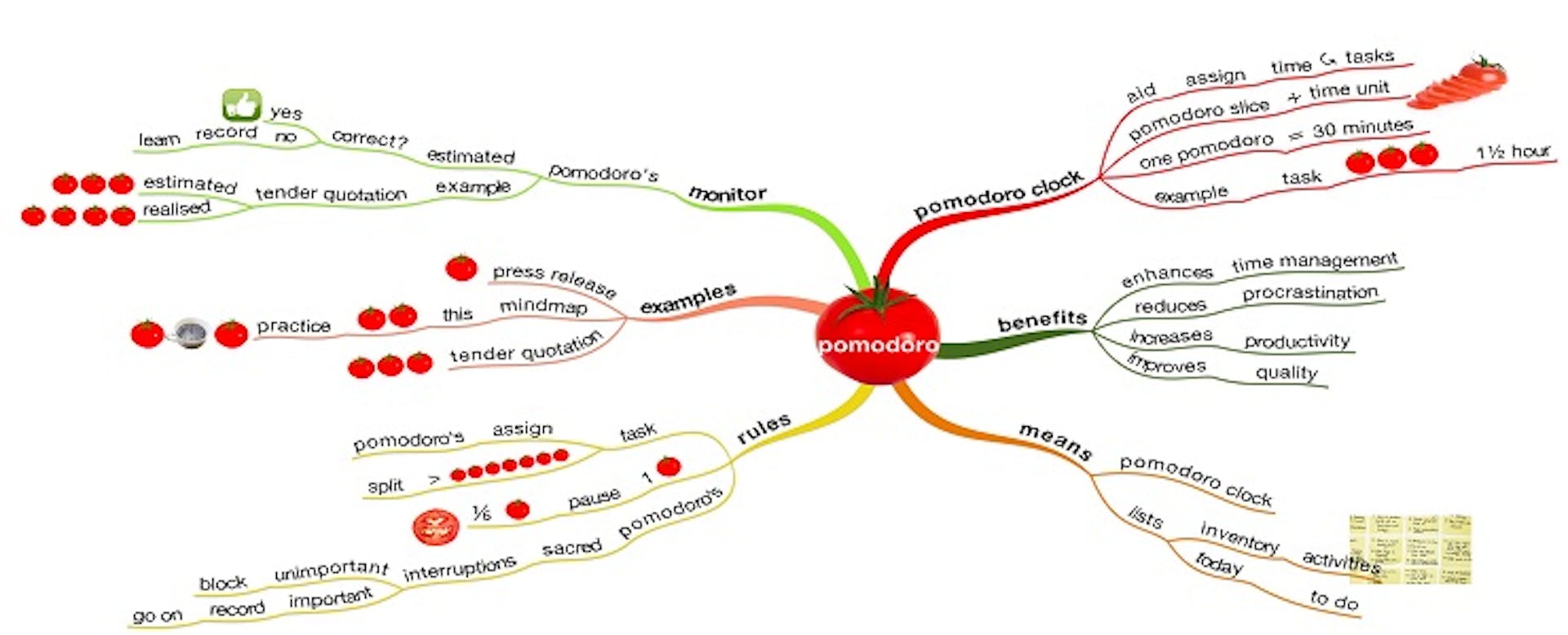Pomodoro Infographic