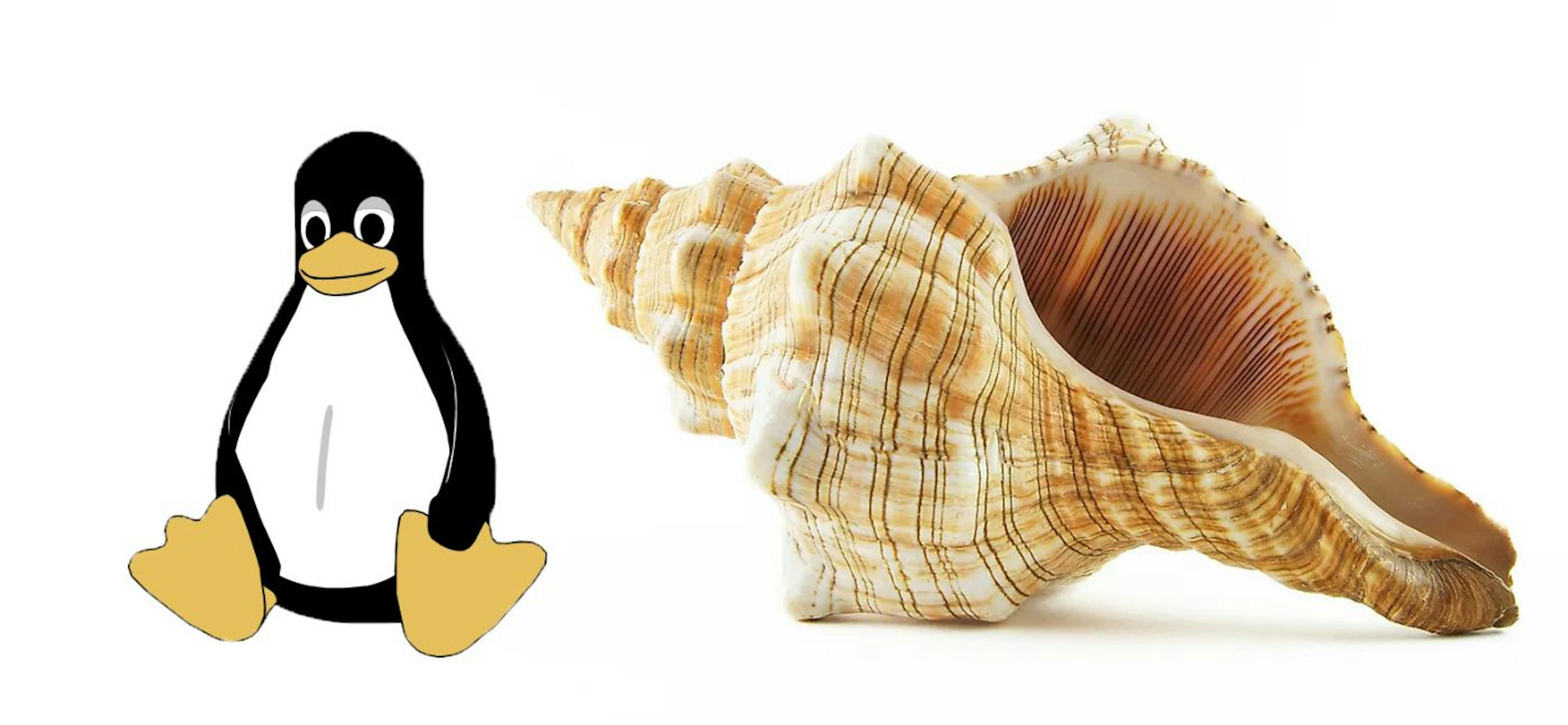 /linux-shell-for-beginners feature image