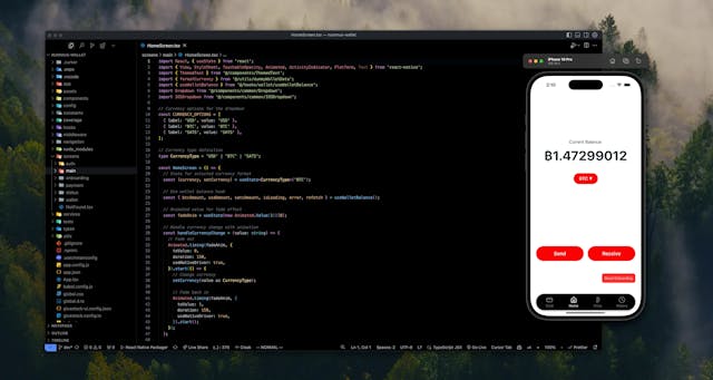 /building-a-bitcoin-wallet-from-scratch-two-months-of-solo-development-insights feature image