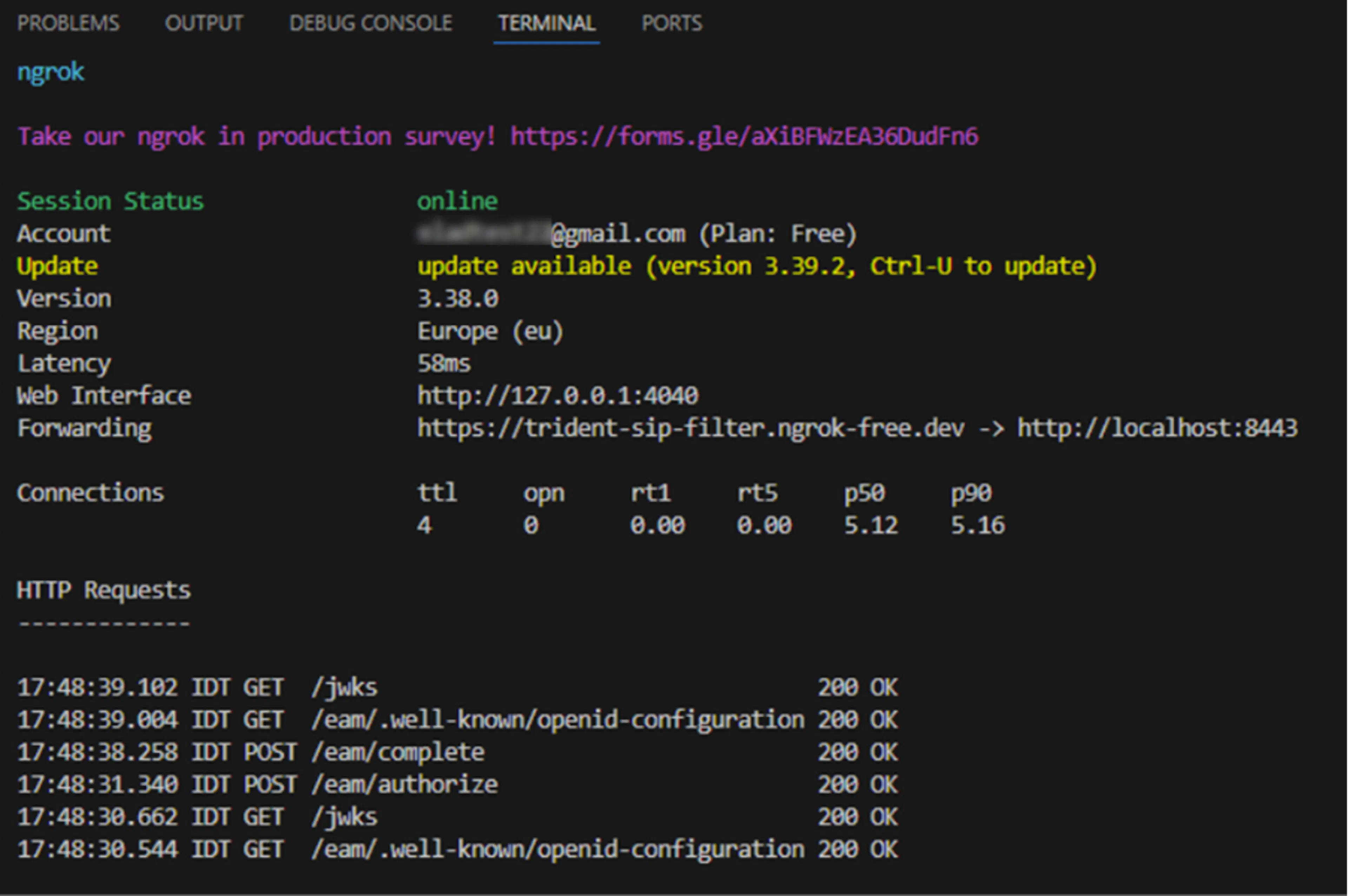 Ngrok exposes the local provider behind one public HTTPS address.