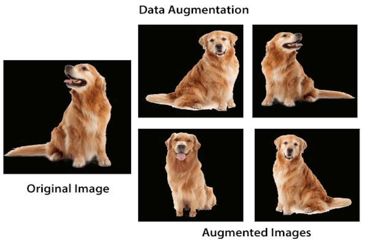 Data Augmentation of a Dog