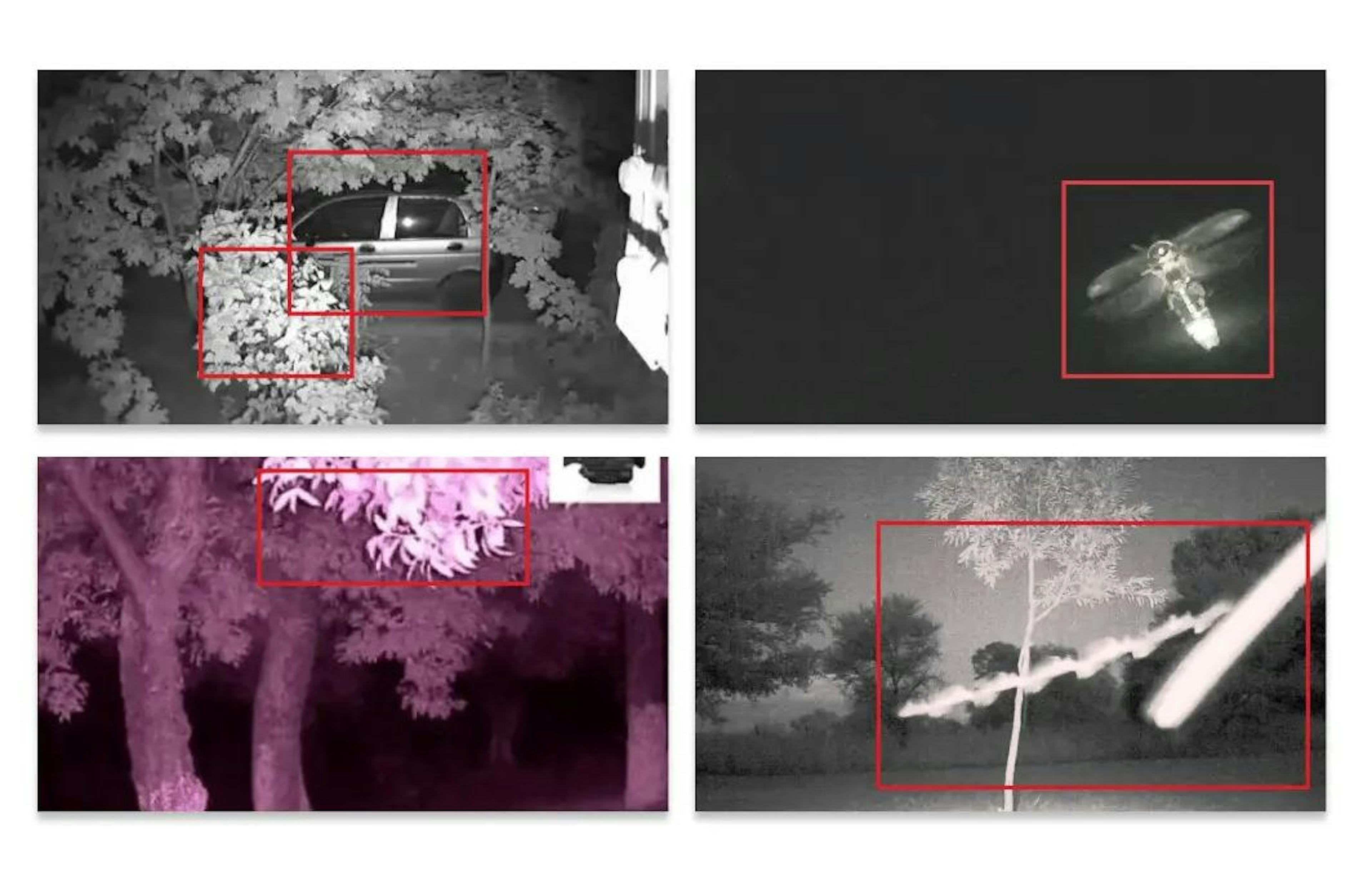 在夜间，模型会检测到移动的树枝或昆虫作为鸟类