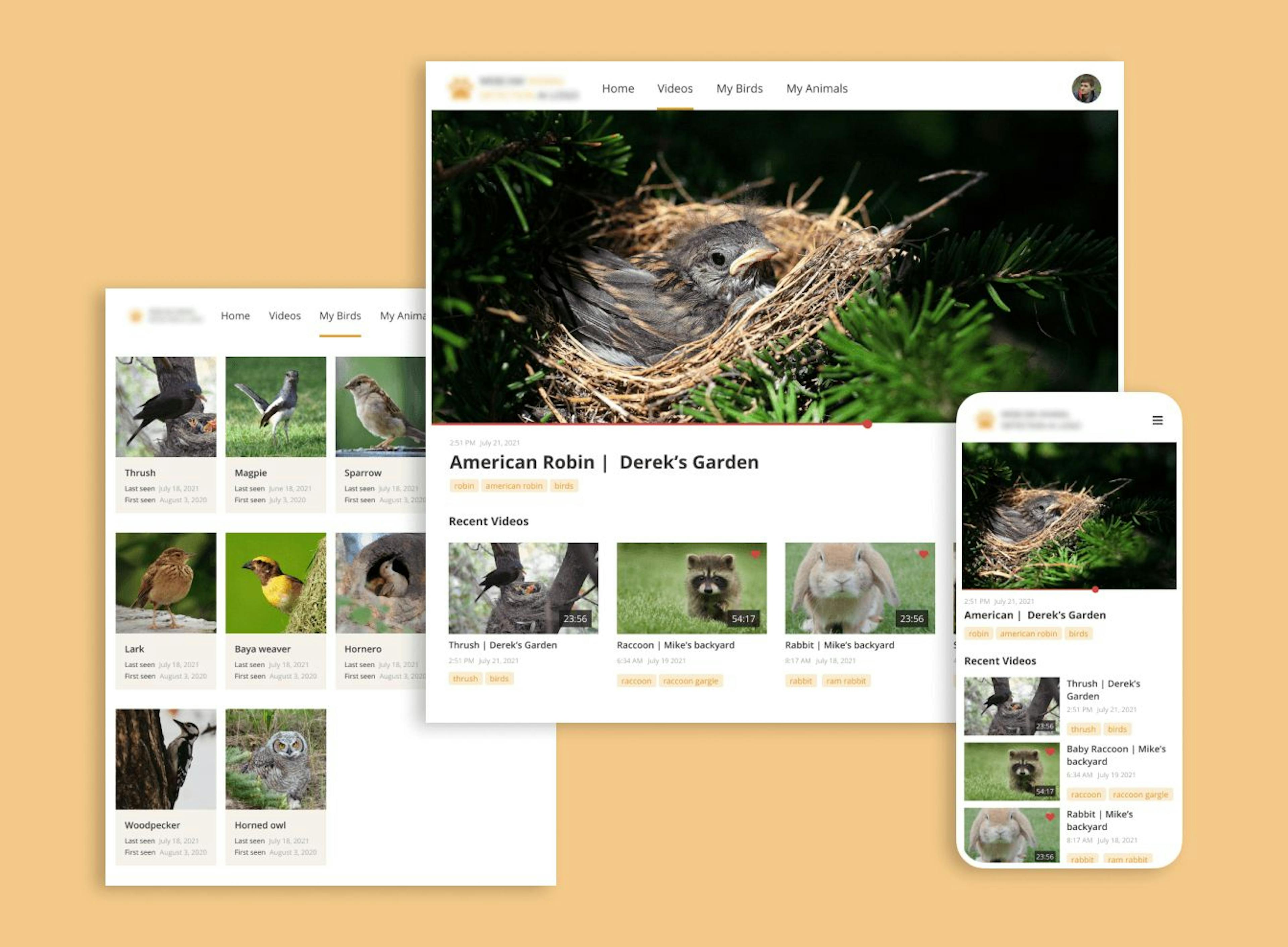 Birdsy is a AI-powered service which detects birds and small mammals in real time and records videos for the users to watch later