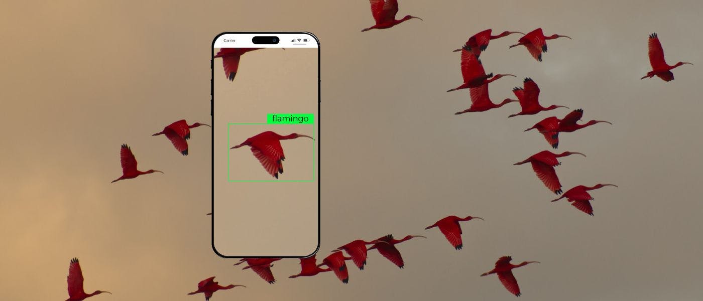 /creating-a-bird-detection-ai-from-ideation-to-product-launch feature image