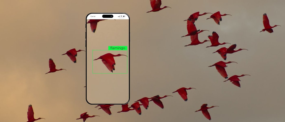 featured image - Criando uma IA de detecção de pássaros: da idealização ao lançamento do produto