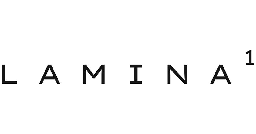 /lamina1-the-foundation-of-the-open-metaverse feature image