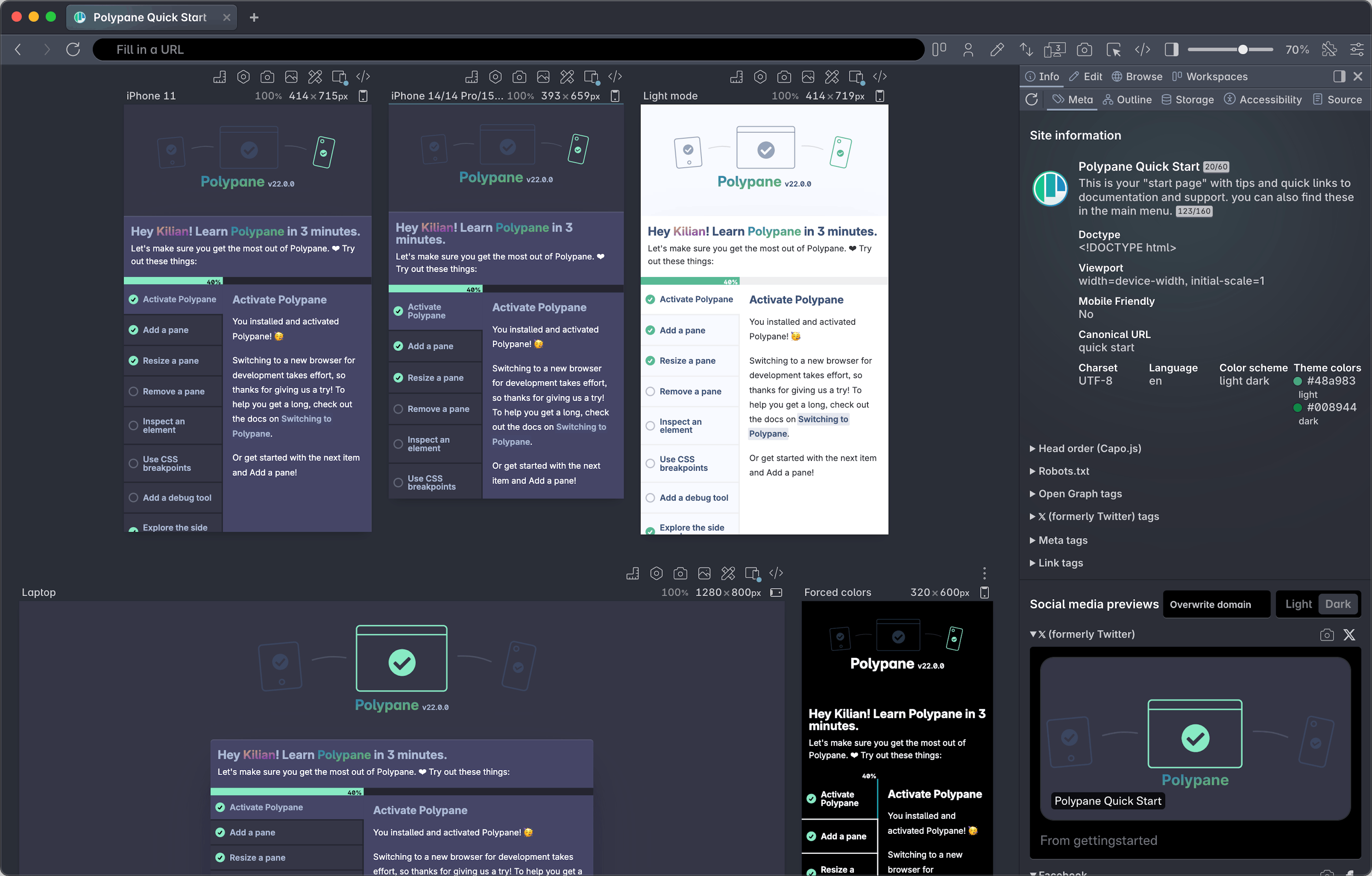 Polypane's UI