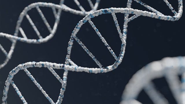 /predicting-a-proteins-stability-under-a-million-mutations-related-works feature image