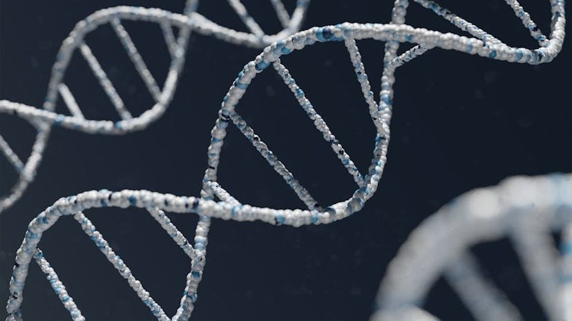 /predicting-a-proteins-stability-under-a-million-mutations-related-works feature image