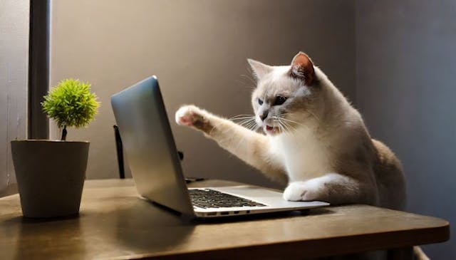 /using-google-palm-to-collect-sentiment-analysis-on-a-forum feature image