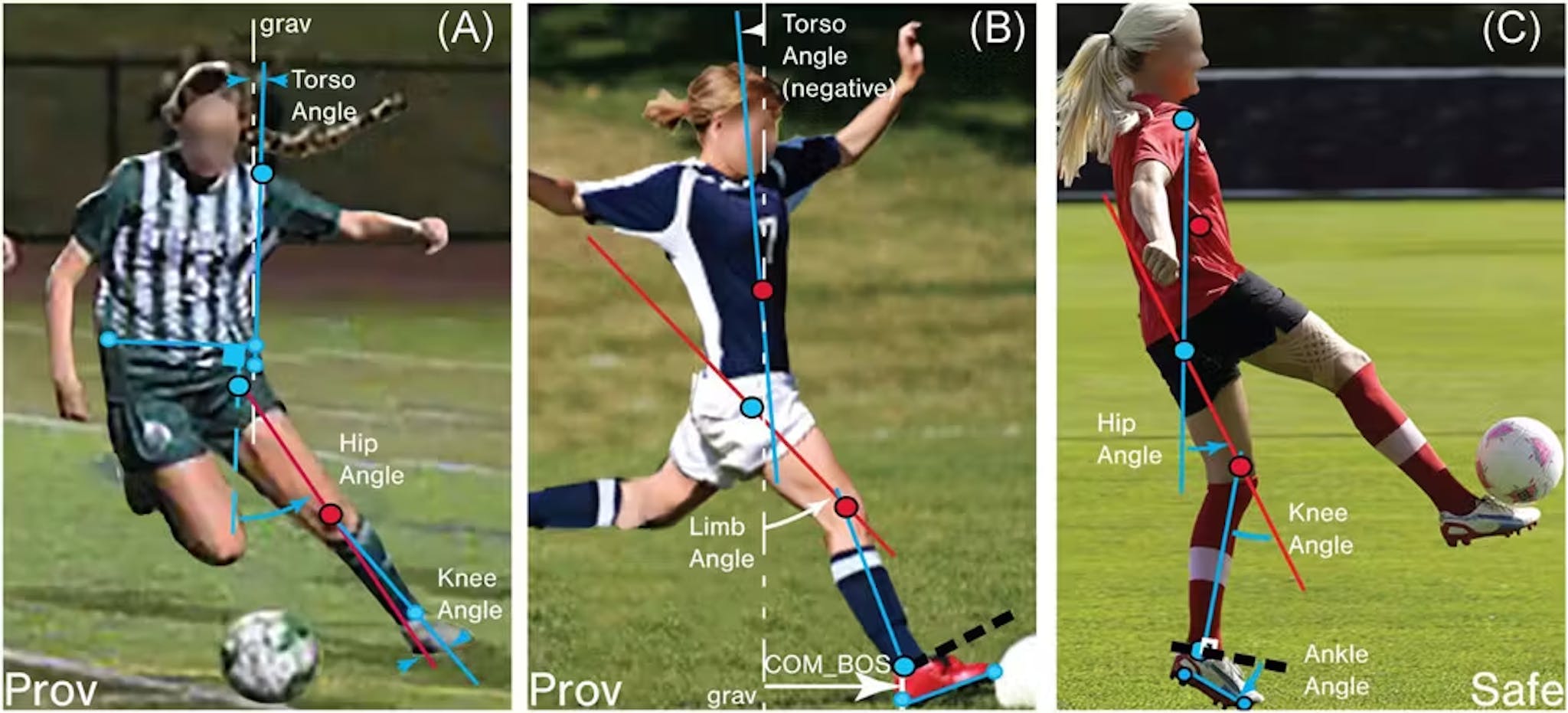 featured image - Can Hippos Exoskeleton's Smart Knee Brace React in Time to Prevent ACL Injuries?