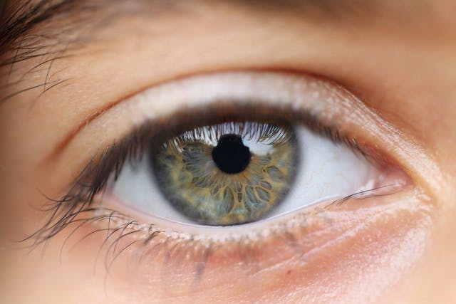 /see-the-stunning-details-this-ai-preserves-in-relit-photos feature image