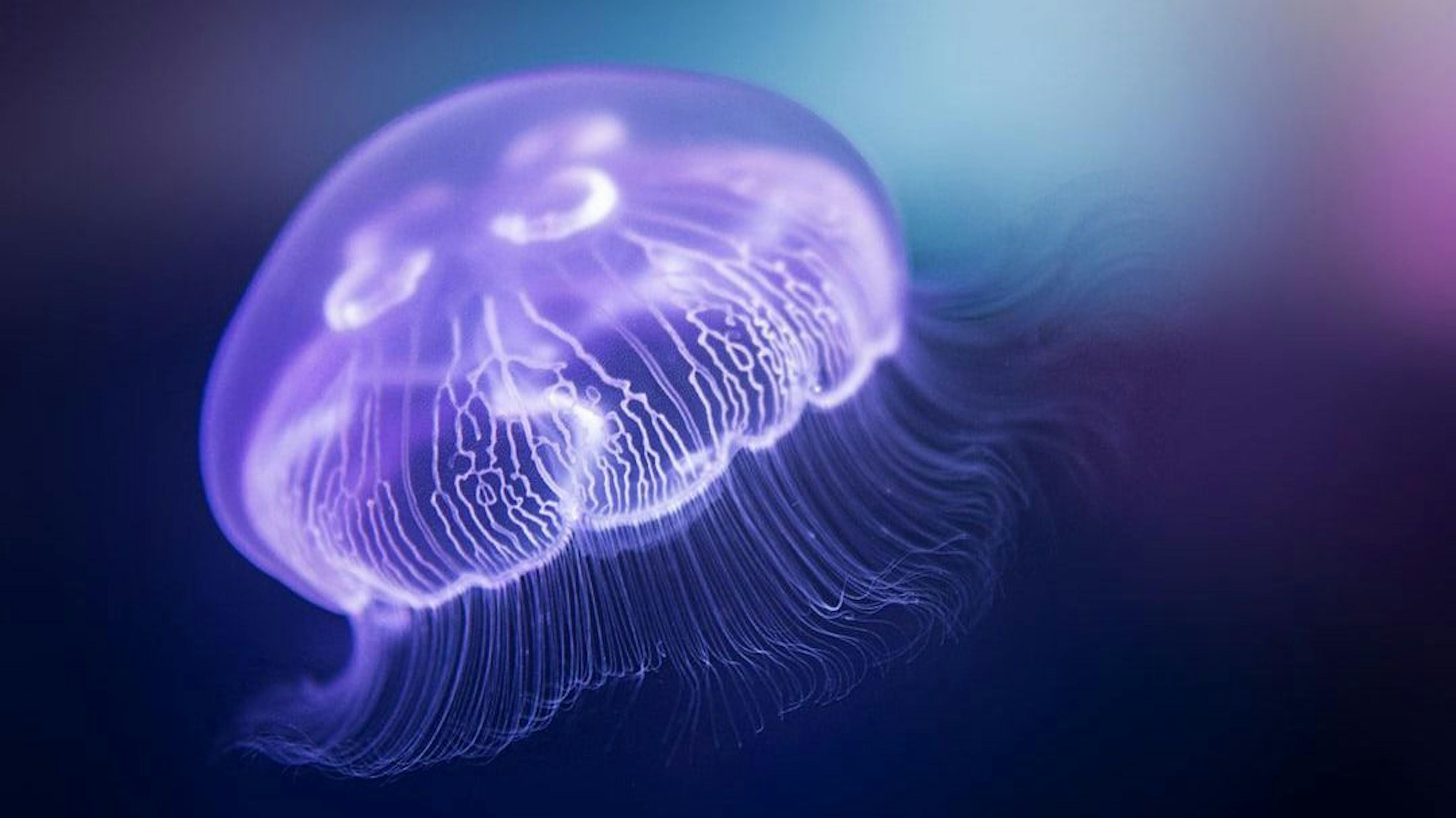 featured image - Hack3d Unpacked: Current Trends and What They Mean for the Future of Web3