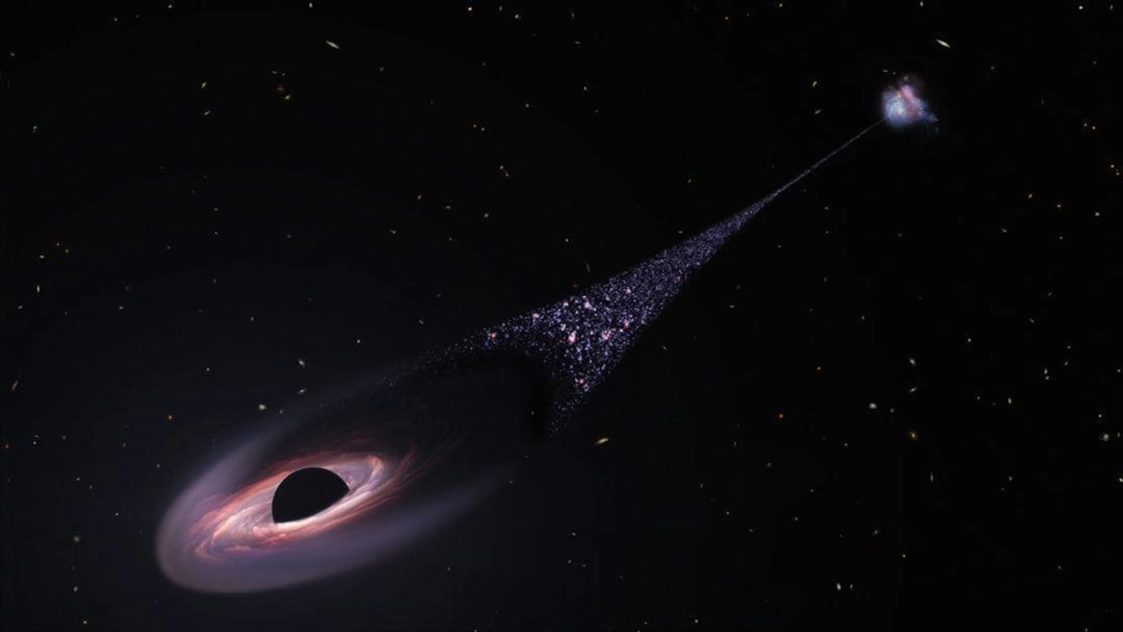 featured image - The Event Horizon of Software: How Vibe Coding Is Annihilating the Behemoths
