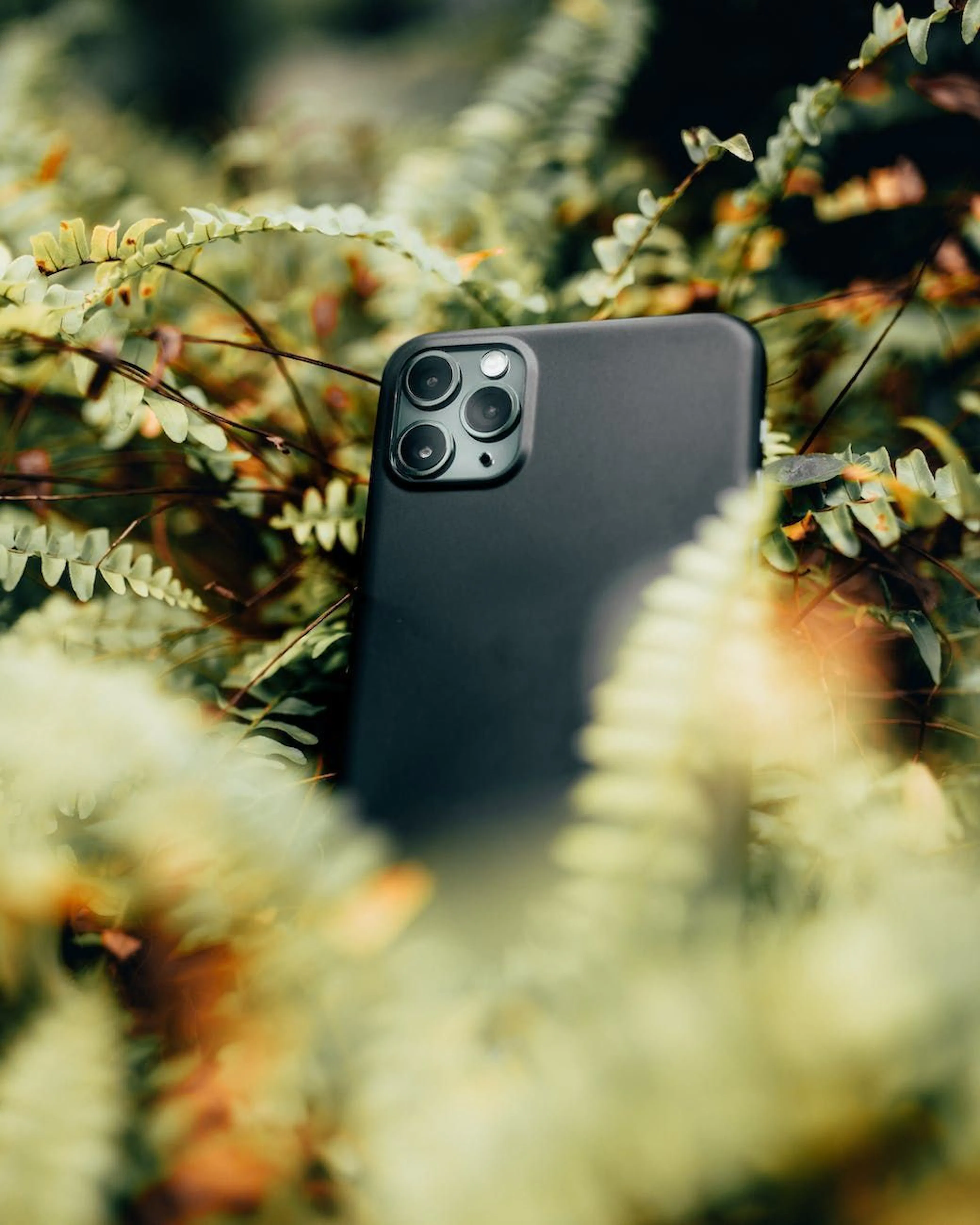 Learn Repo's image-e88ff8