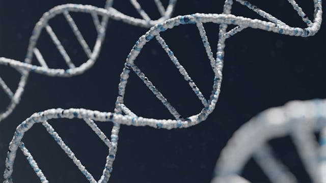 /predicting-a-proteins-stability-under-a-million-mutations-abstract-and-introduction feature image