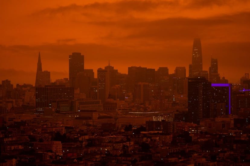 /the-best-movies-set-in-dystopian-societies feature image