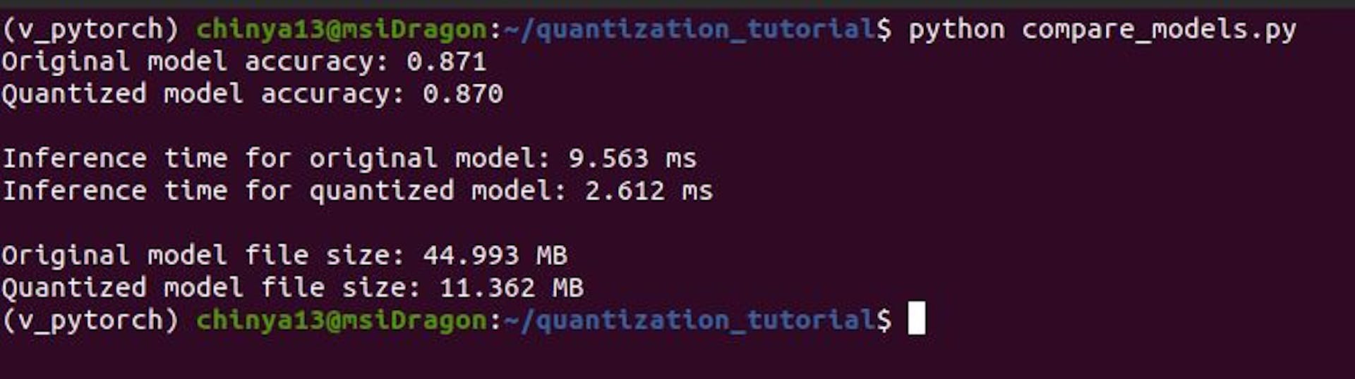 Comparison of fp32 vs quantized model