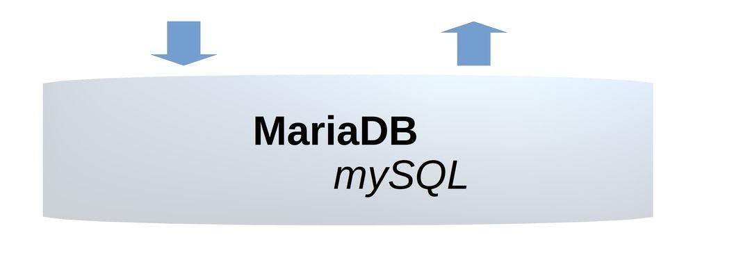 /how-to-use-mariadb-and-mysql-in-web-applications feature image