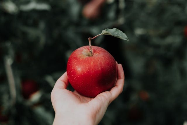 /an-impossible-timeline-can-seven-apple-trees-grow-an-apple-for-one-month feature image