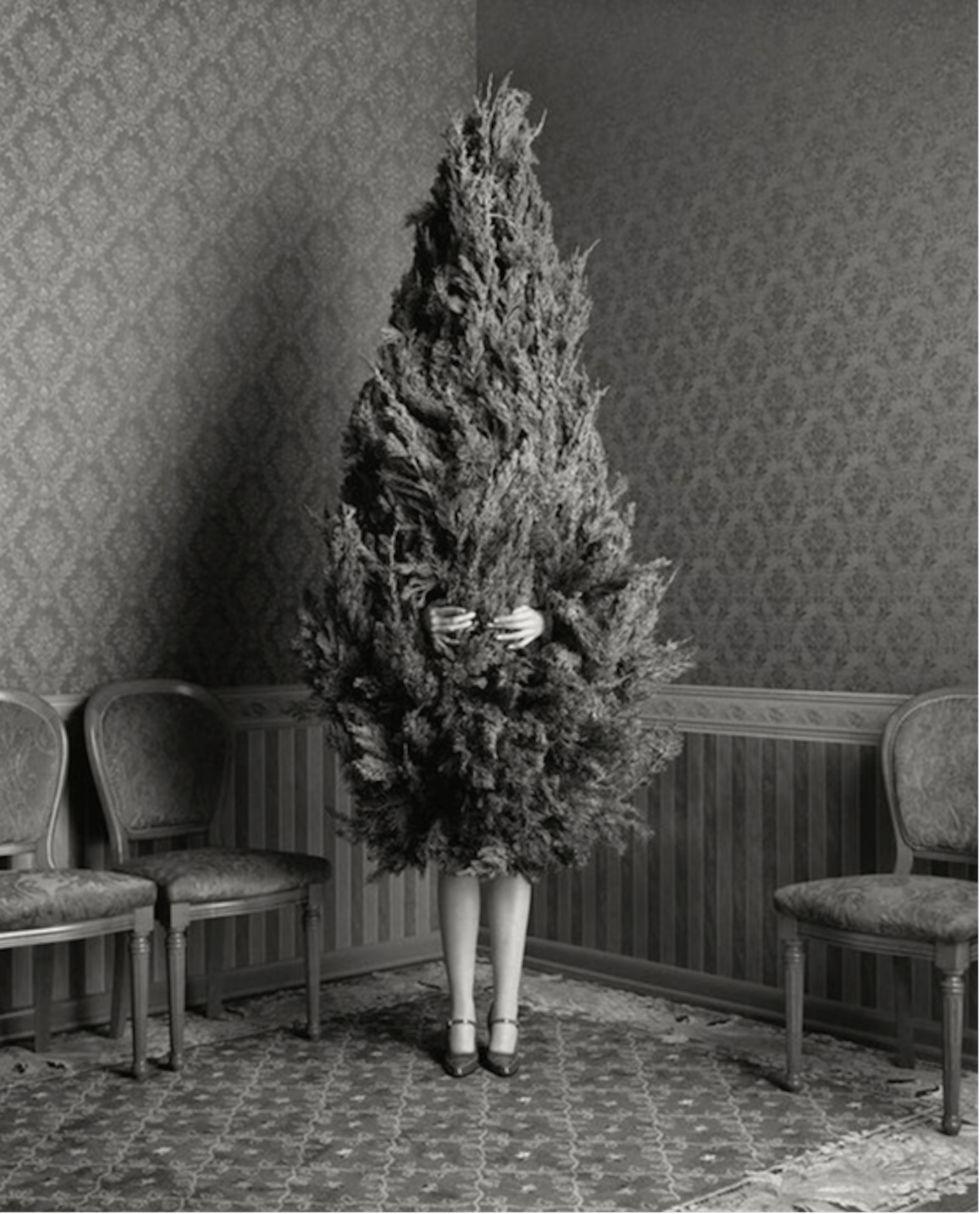 How to Navigate the Holidays: A Closer Look at Christmas and Mental Health Diagnoses
