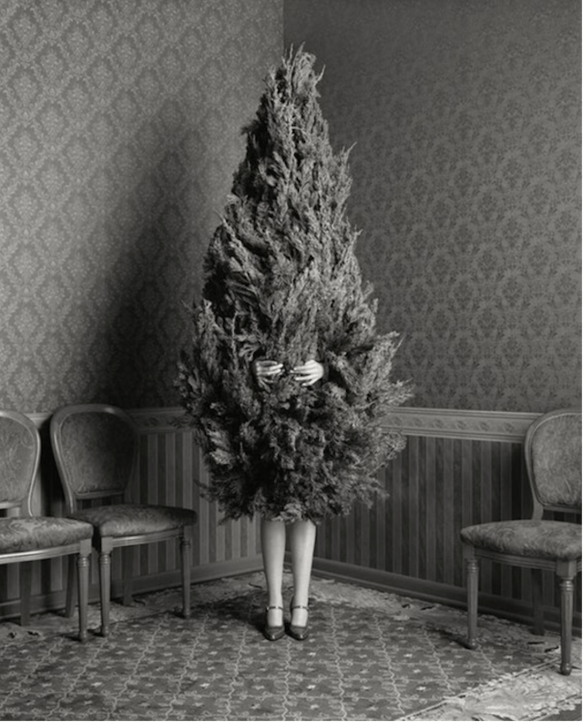 /how-to-navigate-the-holidays-a-closer-look-at-christmas-and-mental-health-diagnoses feature image