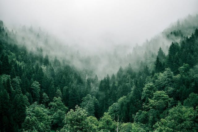 /git-worktree-how-it-can-help-you-enhance-your-git-workflow feature image