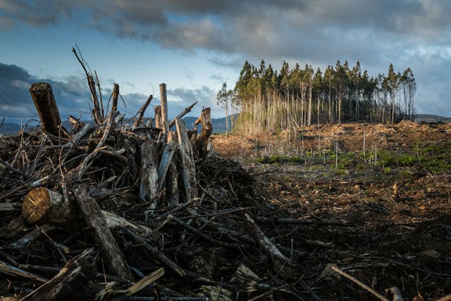 /unstructured-data-is-trying-to-tell-you-something-try-listening-to-it-the-human-side-of-logs feature image
