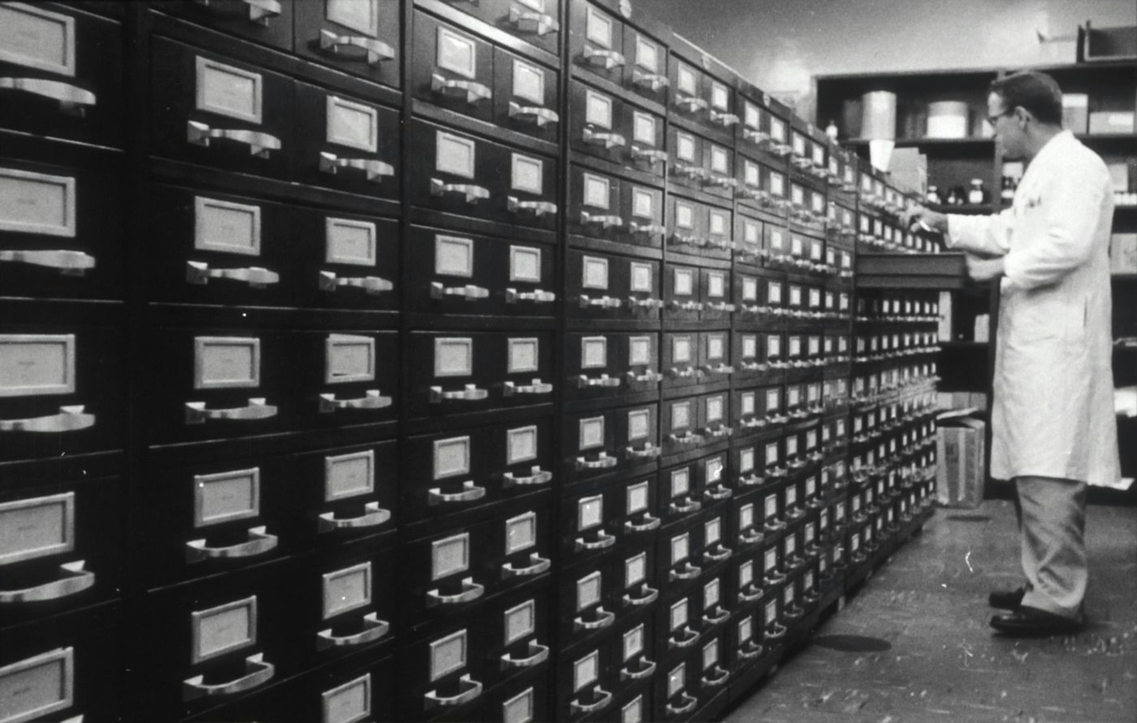 featured image - How to Extract the Maximum Value From Logs