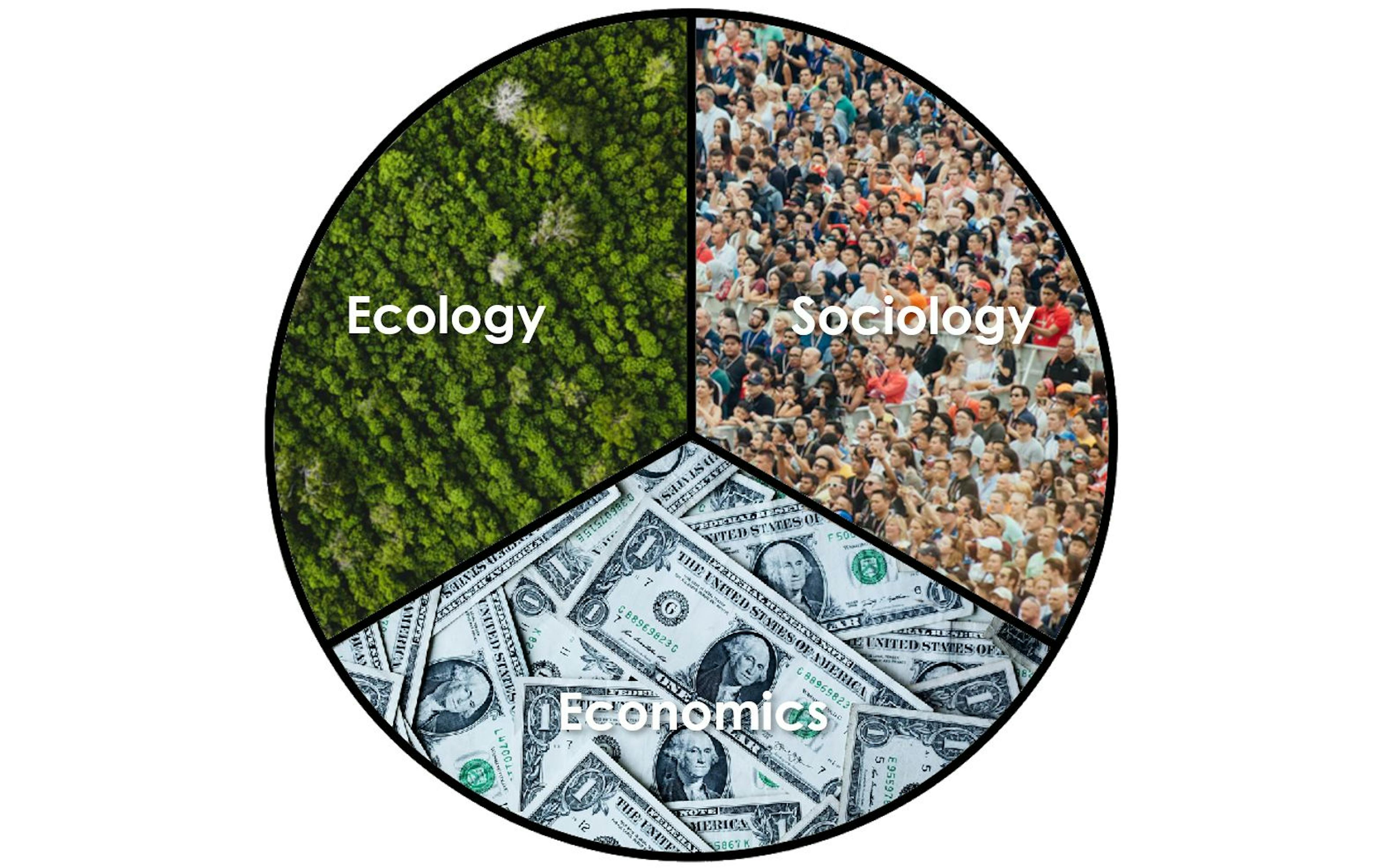 featured image - Introducing The Triple Layer Business Model Canvas