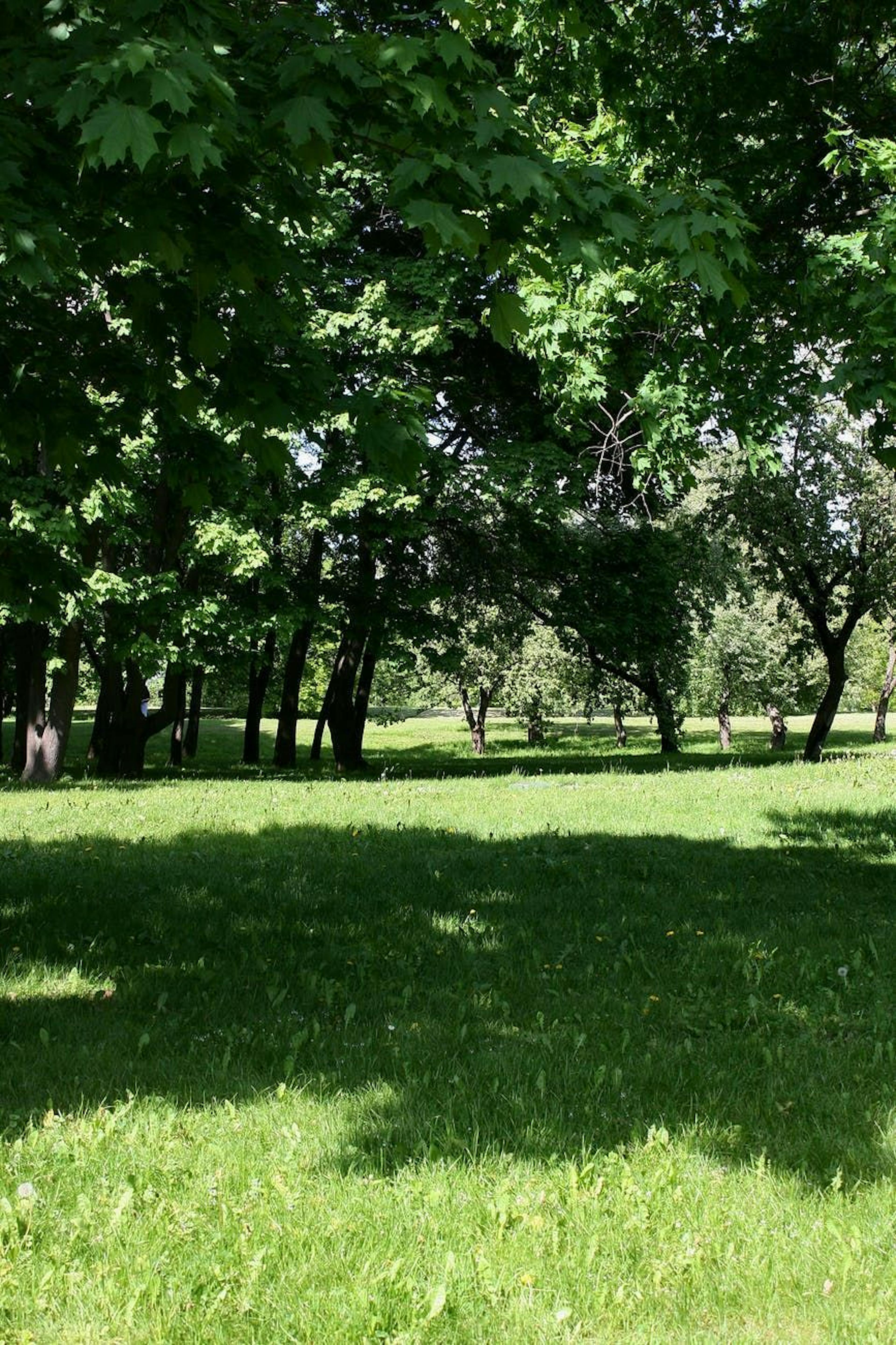 /10-features-for-a-successful-community-an-open-letter-hw26352r feature image