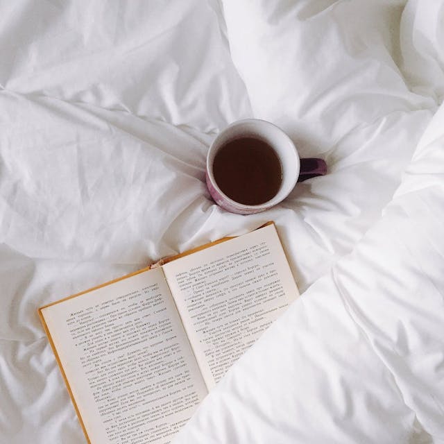 /top-books-about-ai-you-should-read-in-2021-os1433uc feature image