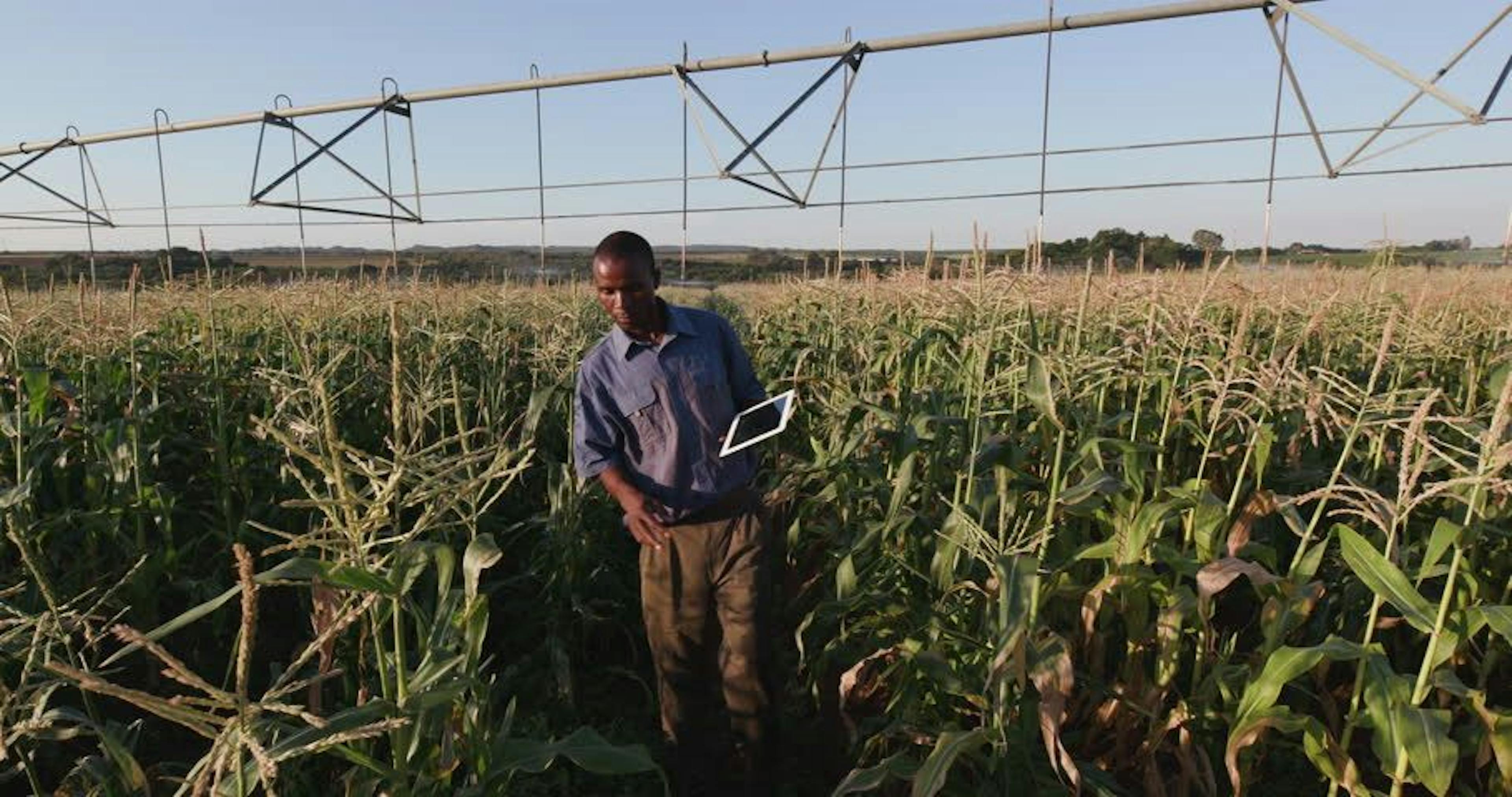 How Agtech and Blockchain Could Invigorate Africa’s Startup Ecosystem